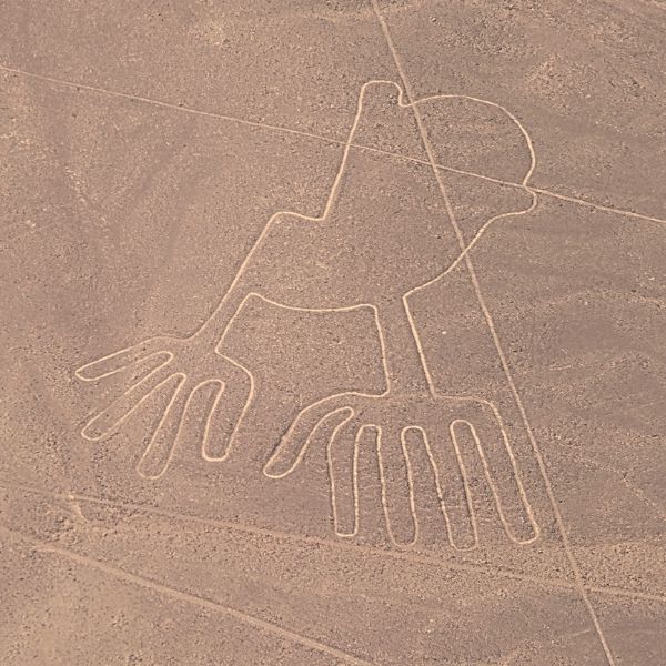 Colossal beings drawn in sand Colossal animal figure drawn in the Nazca Desert sand, seen from the sky