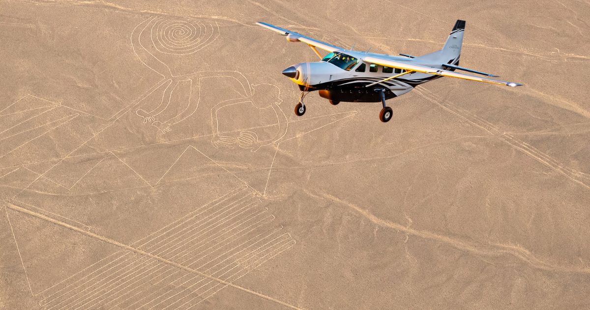 Nazca-Linien & Paracas: Tagesausflug Die Küste von Paracas und die Nazca-Linien, die zwei Höhepunkte des Tagesausflugs ab Lima