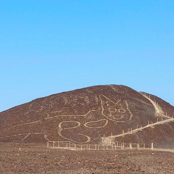 The Cat geoglyph on Nazca hillside