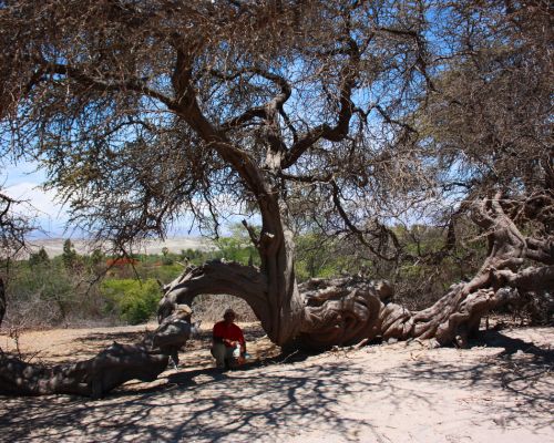 Tour to the Usaka Desert – Foto 5