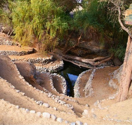 Tour Delle Piramidi di Cahuachi, foto 3