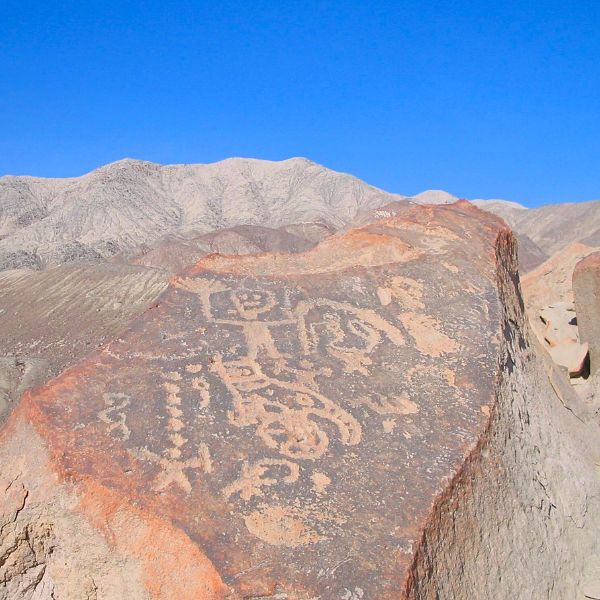 Petroglyph-covered rock with mountains in the background.