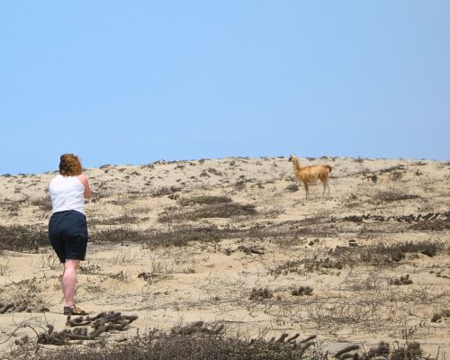 Tour Della Riserva Marina di San Fernando, foto 5